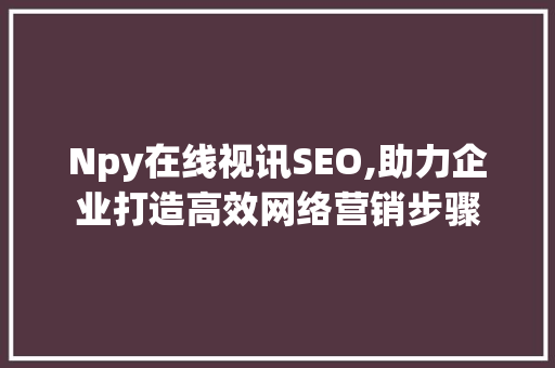 Npy在线视讯SEO,助力企业打造高效网络营销步骤