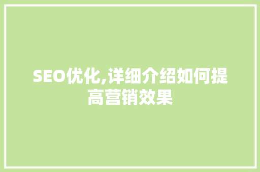 SEO优化,详细介绍如何提高营销效果