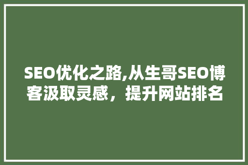 SEO优化之路,从生哥SEO博客汲取灵感，提升网站排名与用户体验
