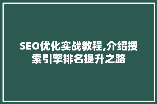 SEO优化实战教程,介绍搜索引擎排名提升之路