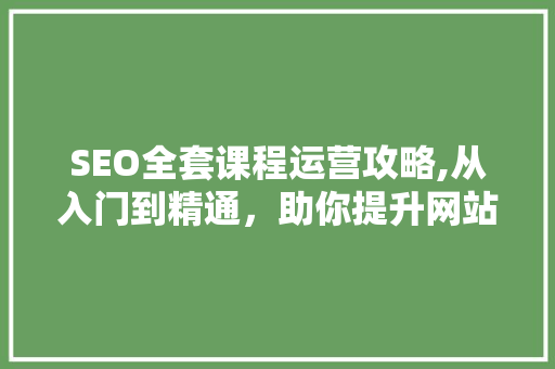 SEO全套课程运营攻略,从入门到精通，助你提升网站排名