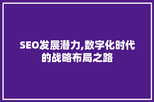 SEO发展潜力,数字化时代的战略布局之路