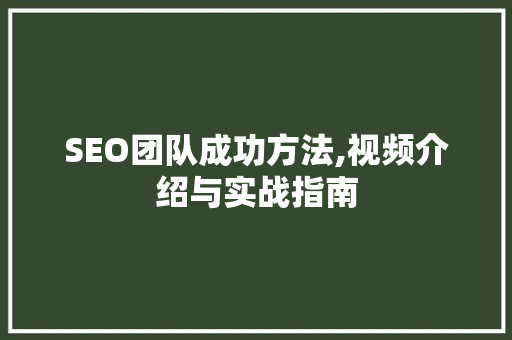 SEO团队成功方法,视频介绍与实战指南
