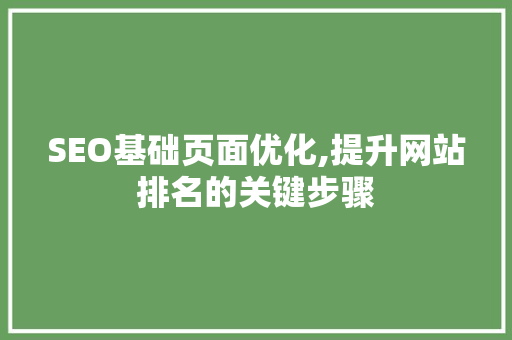 SEO基础页面优化,提升网站排名的关键步骤  第1张