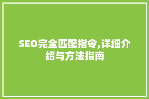SEO完全匹配指令,详细介绍与方法指南  第1张