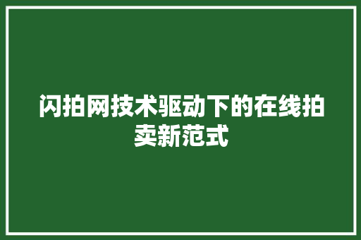 闪拍网技术驱动下的在线拍卖新范式