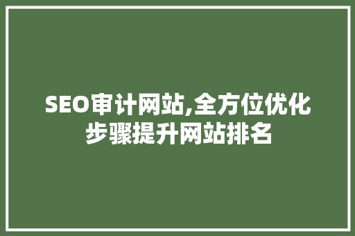 SEO审计网站,全方位优化步骤提升网站排名
