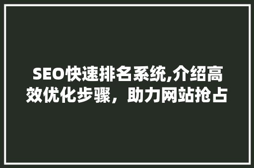 SEO快速排名系统,介绍高效优化步骤，助力网站抢占流量高地