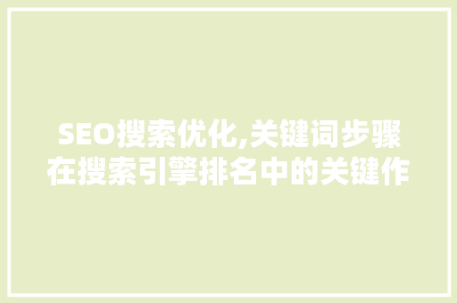 SEO搜索优化,关键词步骤在搜索引擎排名中的关键作用