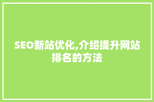 SEO新站优化,介绍提升网站排名的方法