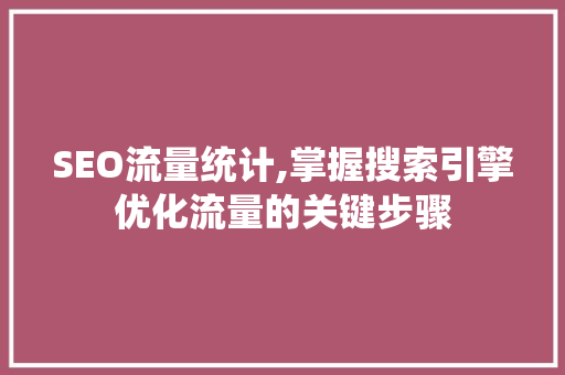 SEO流量统计,掌握搜索引擎优化流量的关键步骤