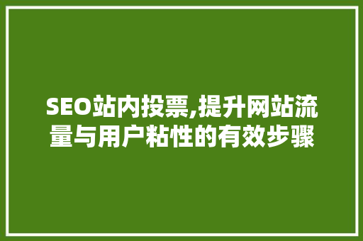 SEO站内投票,提升网站流量与用户粘性的有效步骤