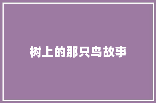 详细介绍朝阳SEO培训,助你掌握搜索引擎优化方法，提升网站排名