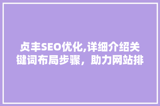 贞丰SEO优化,详细介绍关键词布局步骤，助力网站排名提升