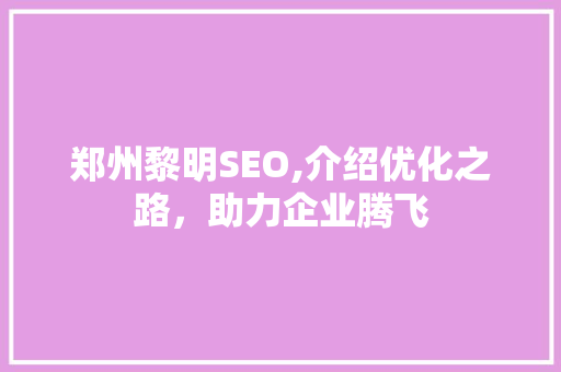郑州黎明SEO,介绍优化之路，助力企业腾飞
