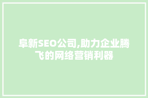 阜新SEO公司,助力企业腾飞的网络营销利器