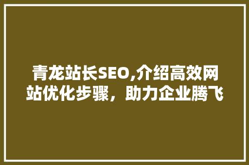 青龙站长SEO,介绍高效网站优化步骤，助力企业腾飞