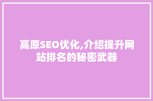 高原SEO优化,介绍提升网站排名的秘密武器