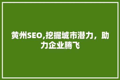 黄州SEO,挖掘城市潜力，助力企业腾飞