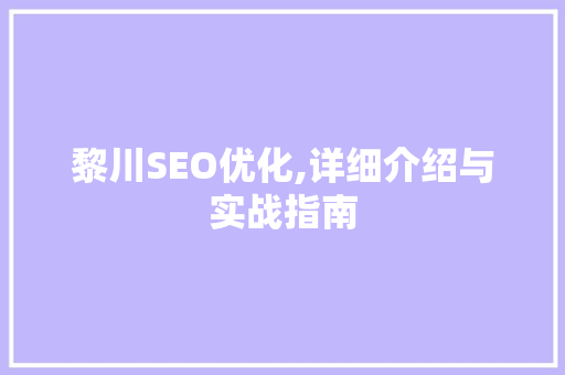 黎川SEO优化,详细介绍与实战指南