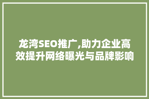 龙湾SEO推广,助力企业高效提升网络曝光与品牌影响力