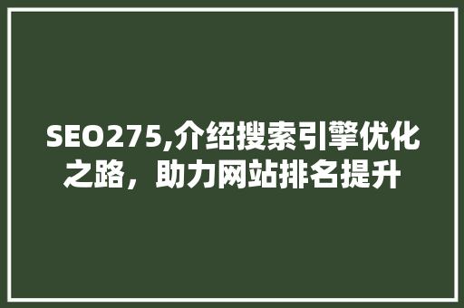 SEO275,介绍搜索引擎优化之路，助力网站排名提升
