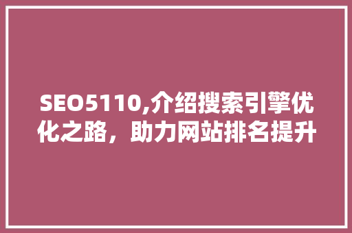 SEO5110,介绍搜索引擎优化之路，助力网站排名提升