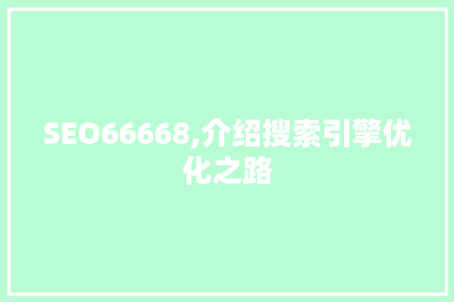 SEO66668,介绍搜索引擎优化之路