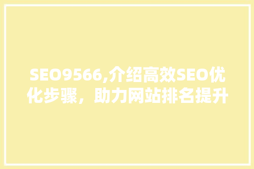 SEO9566,介绍高效SEO优化步骤，助力网站排名提升