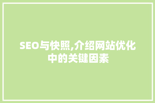 SEO与快照,介绍网站优化中的关键因素