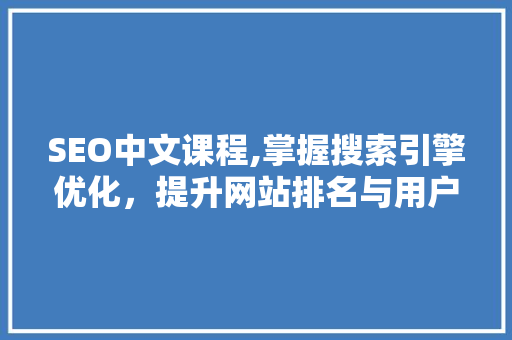 SEO中文课程,掌握搜索引擎优化，提升网站排名与用户体验