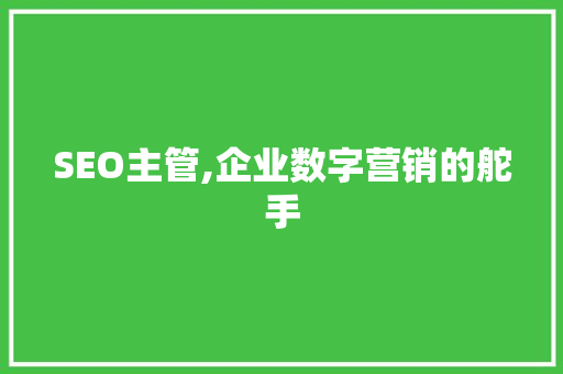 SEO主管,企业数字营销的舵手