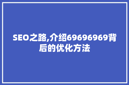 SEO之路,介绍69696969背后的优化方法