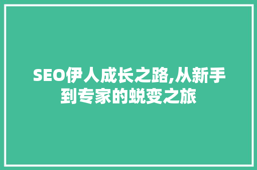 SEO伊人成长之路,从新手到专家的蜕变之旅