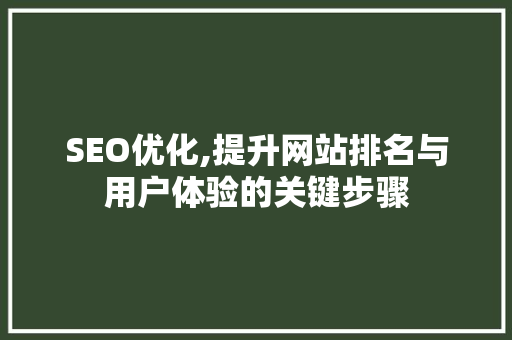 SEO优化,提升网站排名与用户体验的关键步骤