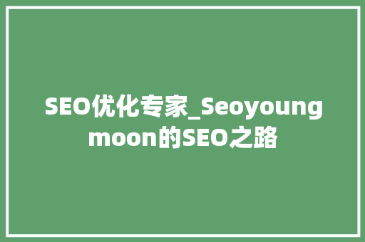 SEO优化专家_Seoyoungmoon的SEO之路