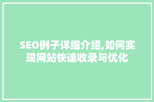 SEO例子详细介绍,如何实现网站快速收录与优化