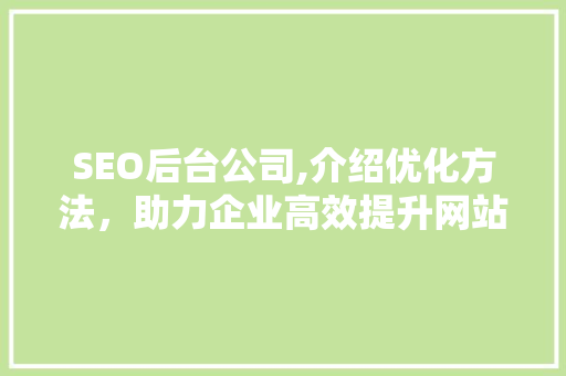 SEO后台公司,介绍优化方法，助力企业高效提升网站排名  第1张