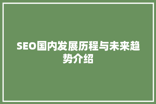 SEO国内发展历程与未来趋势介绍