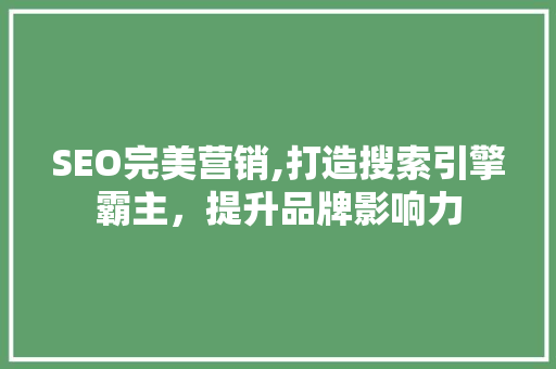 SEO完美营销,打造搜索引擎霸主，提升品牌影响力