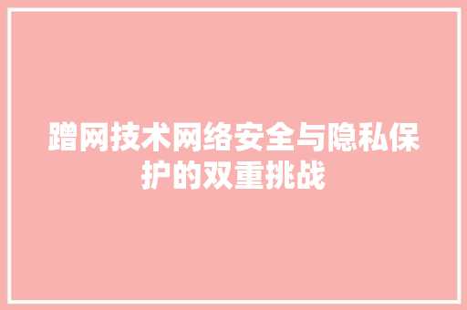 蹭网技术网络安全与隐私保护的双重挑战