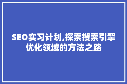 SEO实习计划,探索搜索引擎优化领域的方法之路