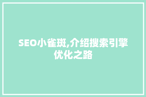 SEO小雀斑,介绍搜索引擎优化之路