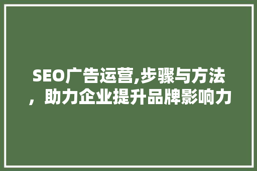 SEO广告运营,步骤与方法，助力企业提升品牌影响力