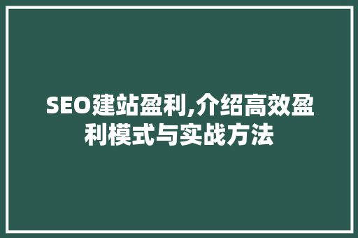 SEO建站盈利,介绍高效盈利模式与实战方法