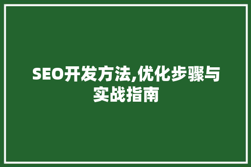 SEO开发方法,优化步骤与实战指南