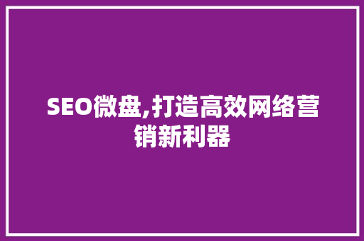 SEO微盘,打造高效网络营销新利器