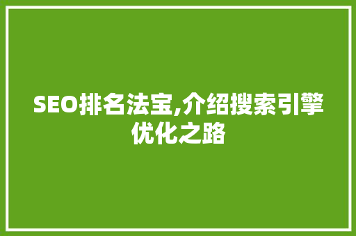 SEO排名法宝,介绍搜索引擎优化之路