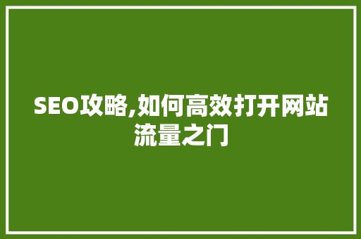 SEO攻略,如何高效打开网站流量之门