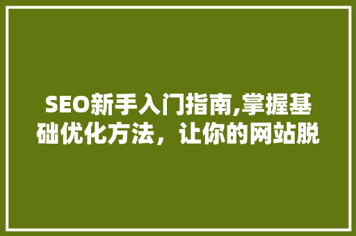 SEO新手入门指南,掌握基础优化方法，让你的网站脱颖而出